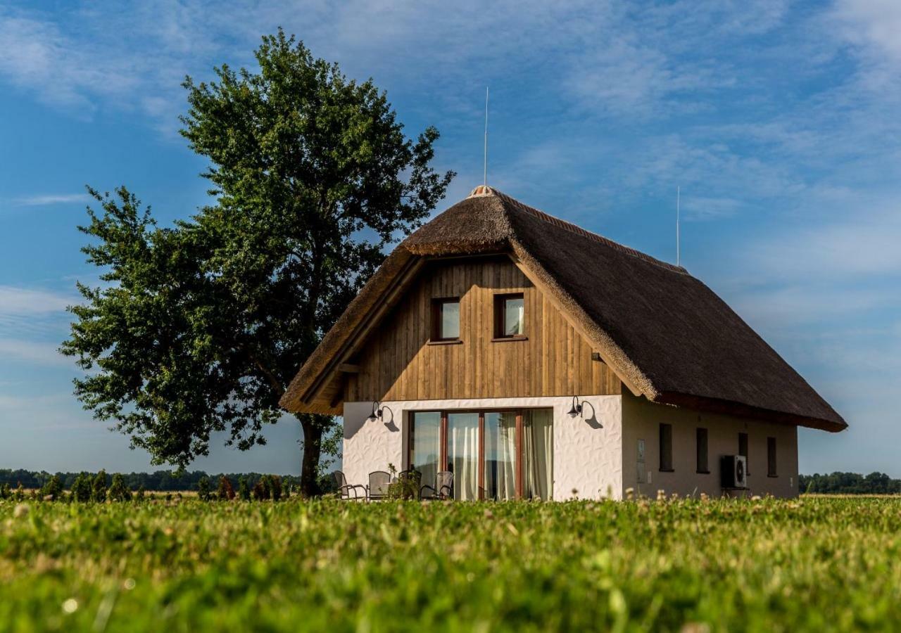 Apartment Panonska Vas
